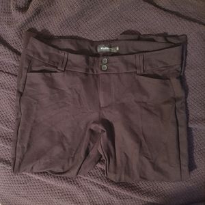 Torrid 22R Boot Leg Studio Pants